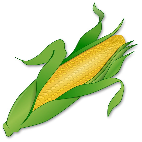 Corn Drawing Creative Style