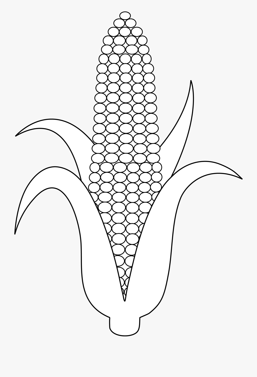Corn Drawing Modern Sketch