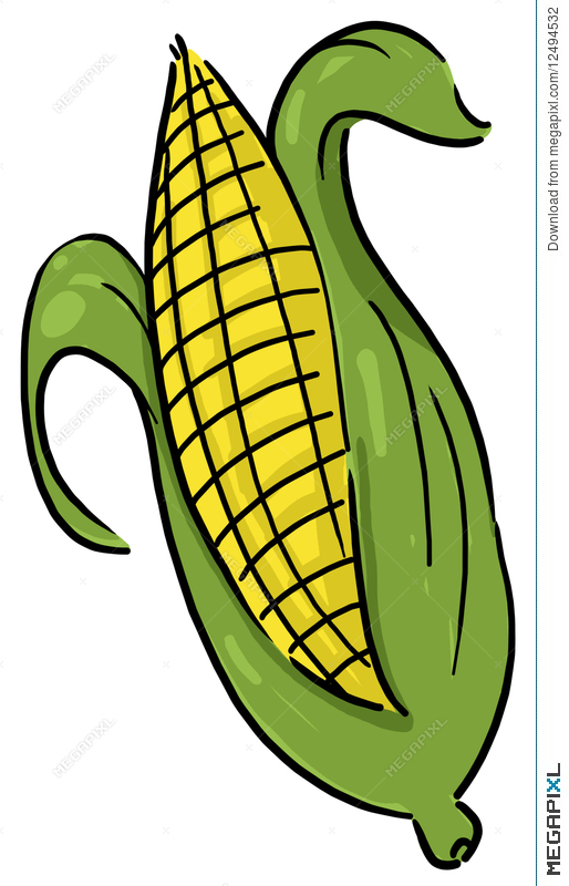 Corn Drawing Stunning Sketch