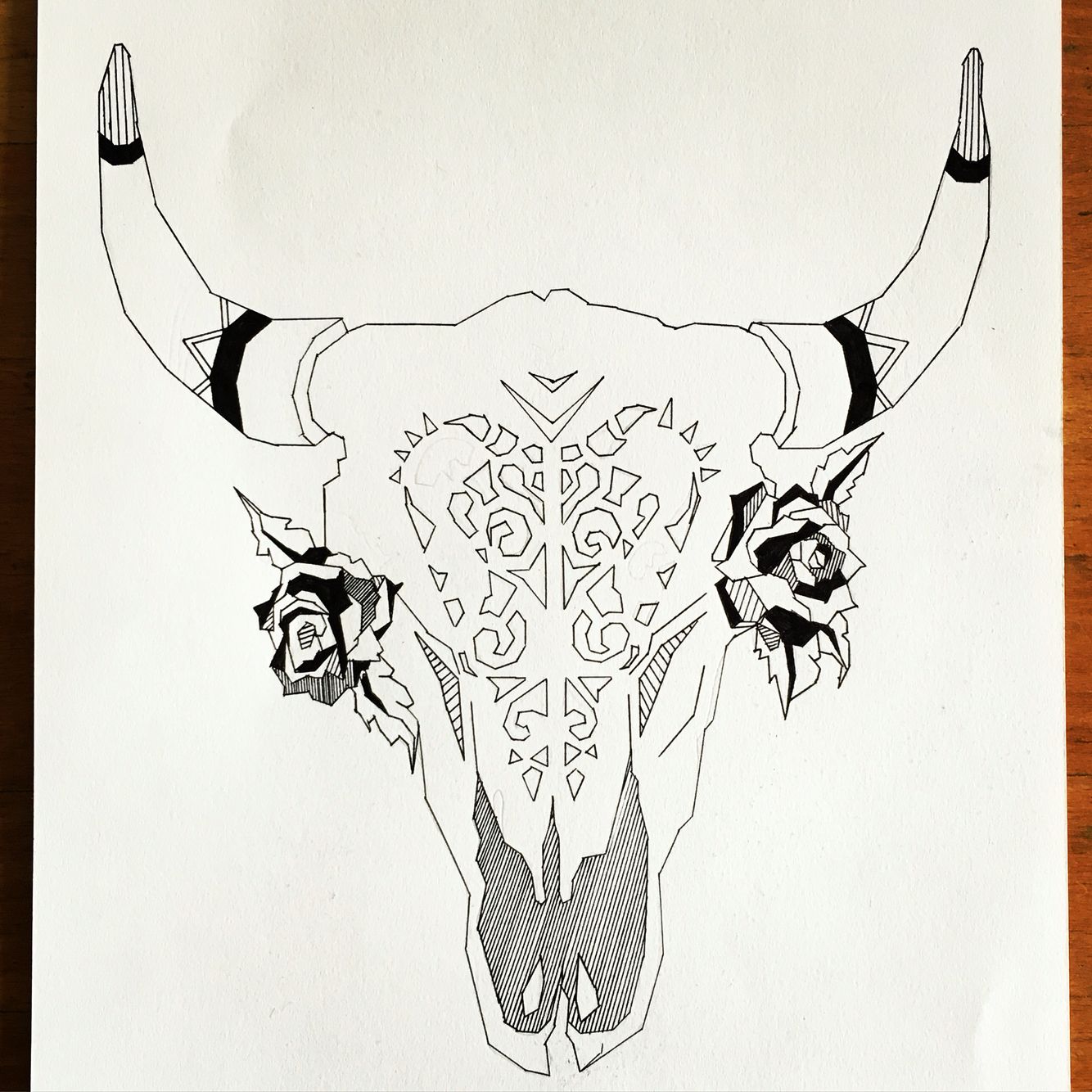 Cow Skull Drawing Art