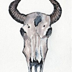Cow Skull Drawing Modern Sketch