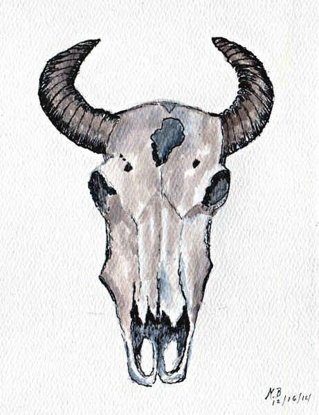 Cow Skull Drawing Modern Sketch