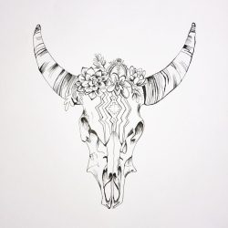 Cow Skull Drawing Stunning Sketch