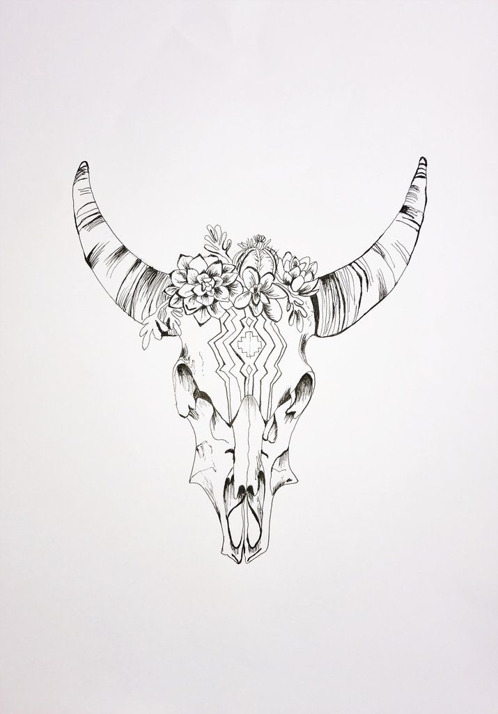 Cow Skull Drawing Stunning Sketch