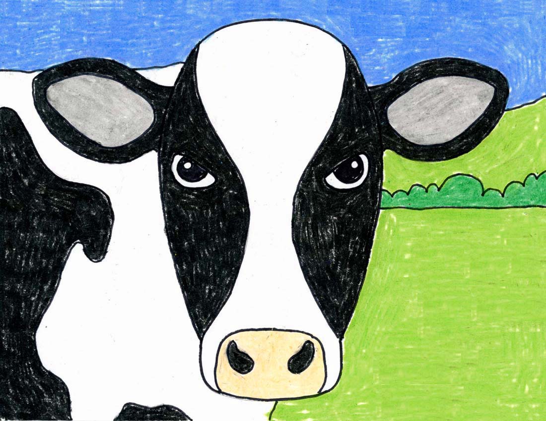 Cows Face Drawing Amazing Sketch