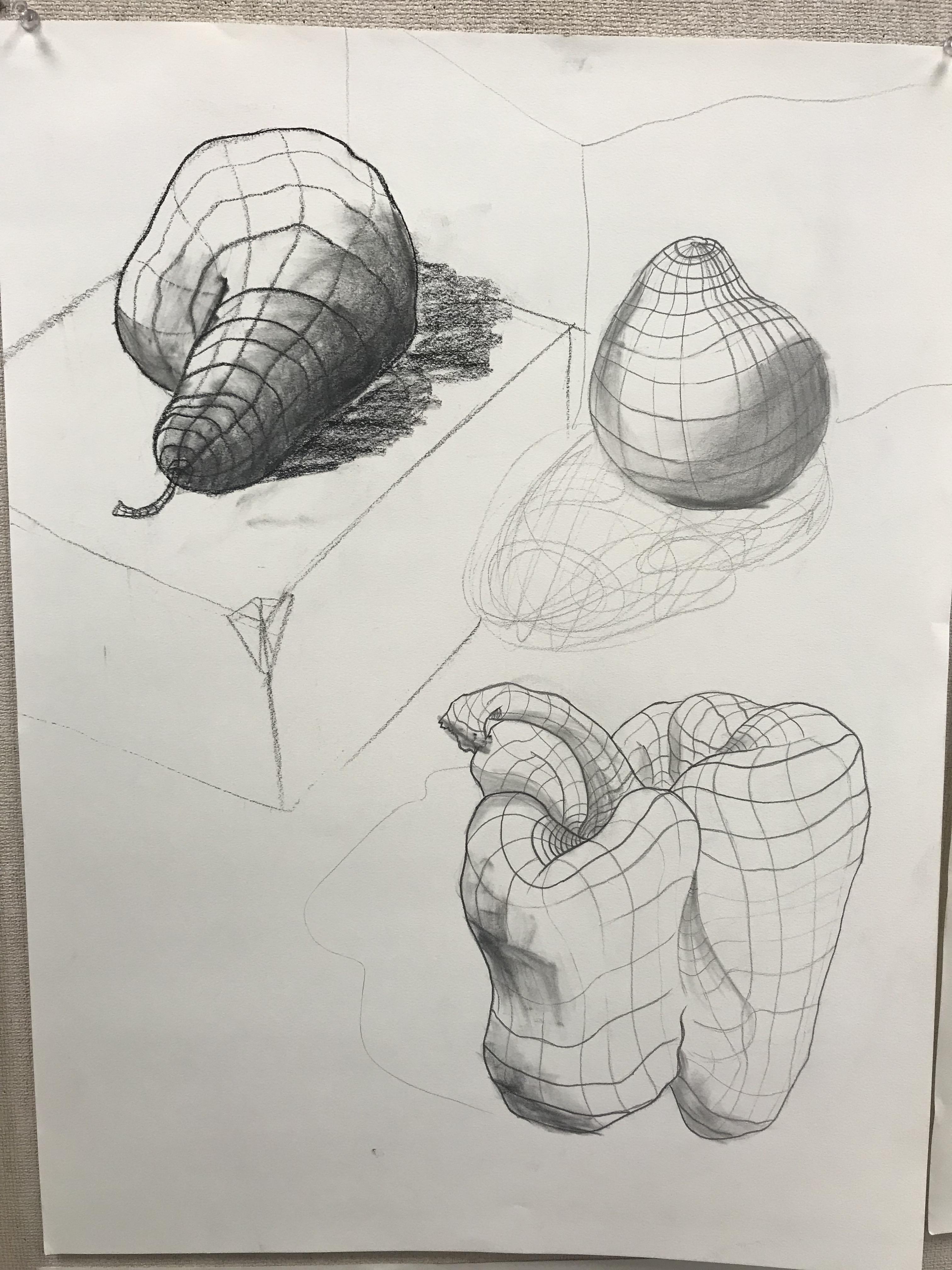 Cross Contour Drawing Realistic Sketch