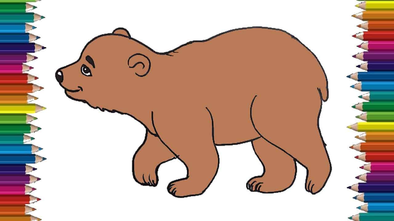 Cute Bear Drawing Image