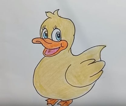 Cute Duck Drawing Hand drawn Sketch