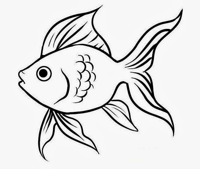 Cute Fish Drawing Beautiful Artwork