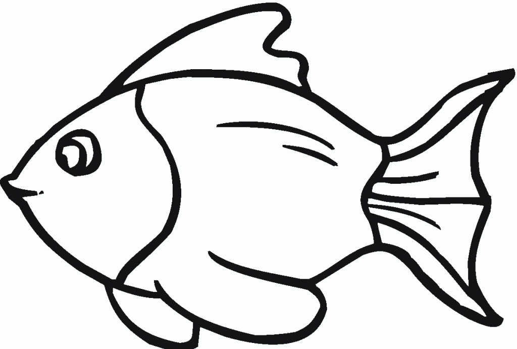 Cute Fish Drawing Photo
