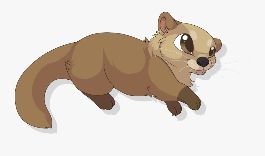 Cute Otter Drawing Amazing Sketch