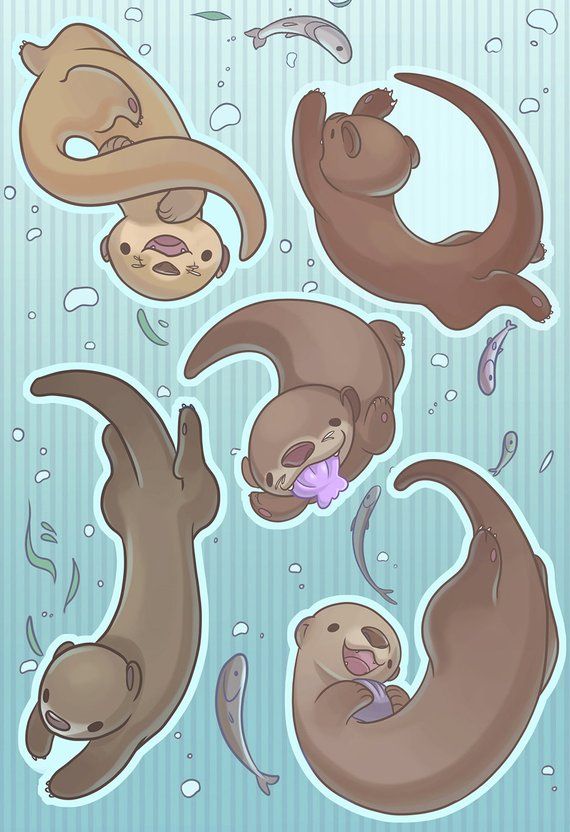 Cute Otter Drawing Fine Art