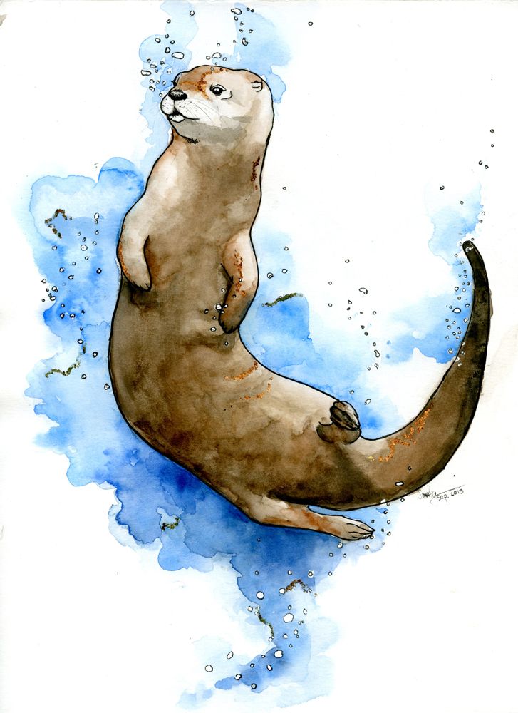 Cute Otter Drawing Hand Drawn Sketch