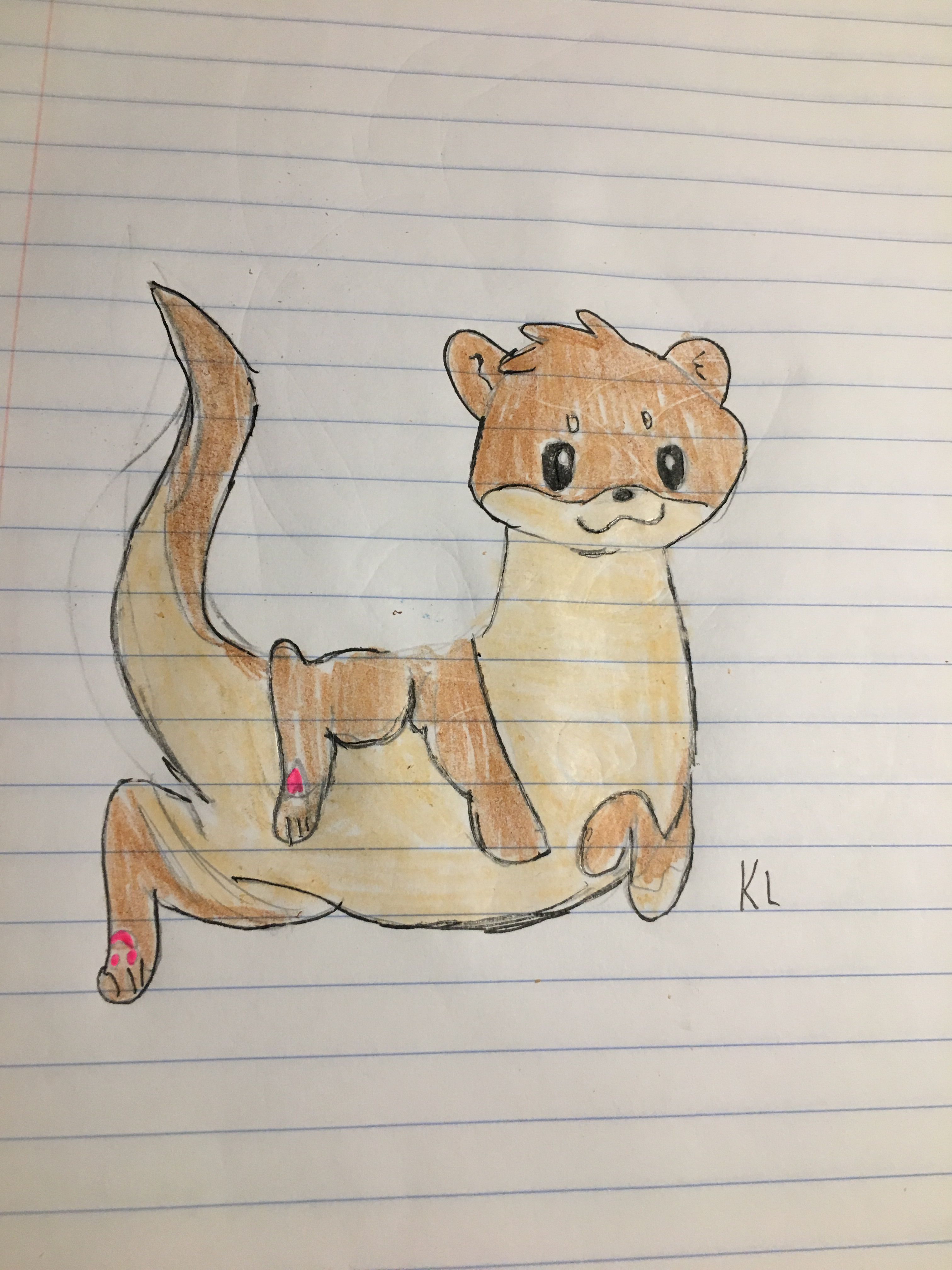 Cute Otter Drawing Photo