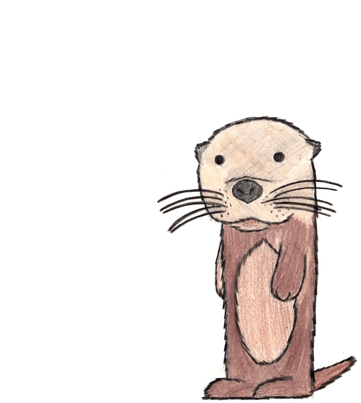 Cute Otter Drawing Realistic Sketch