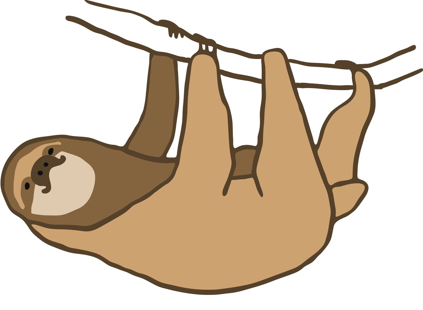 Cute Sloth Drawing Creative Style