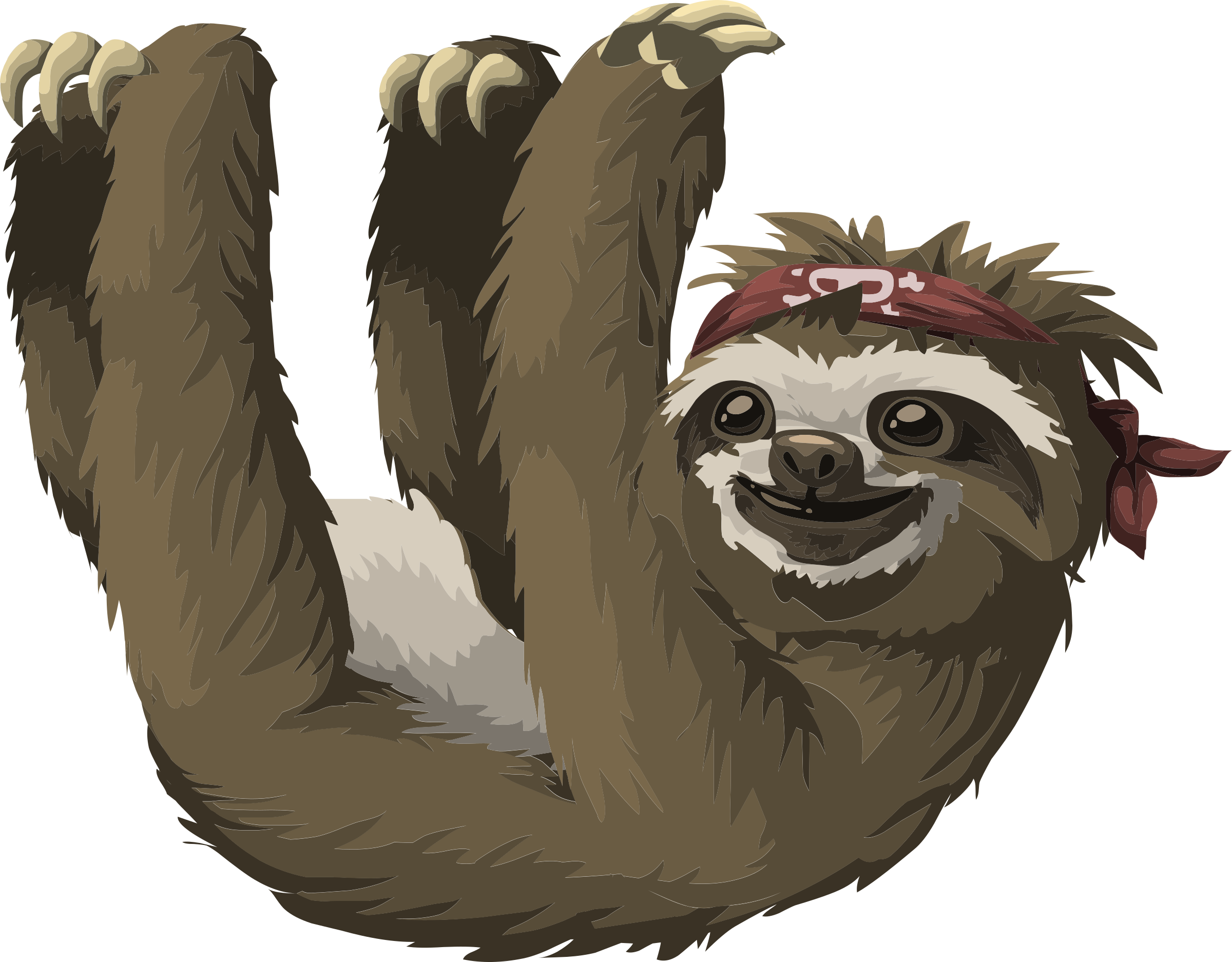 Cute Sloth Drawing Image