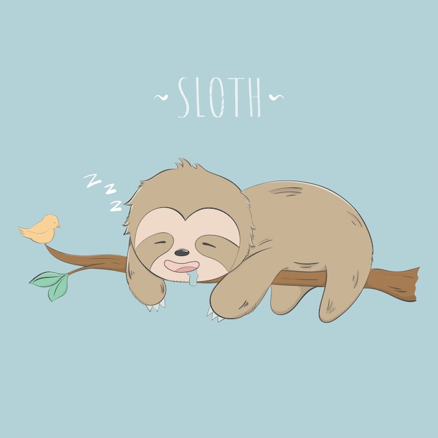 Cute Sloth Drawing Photo