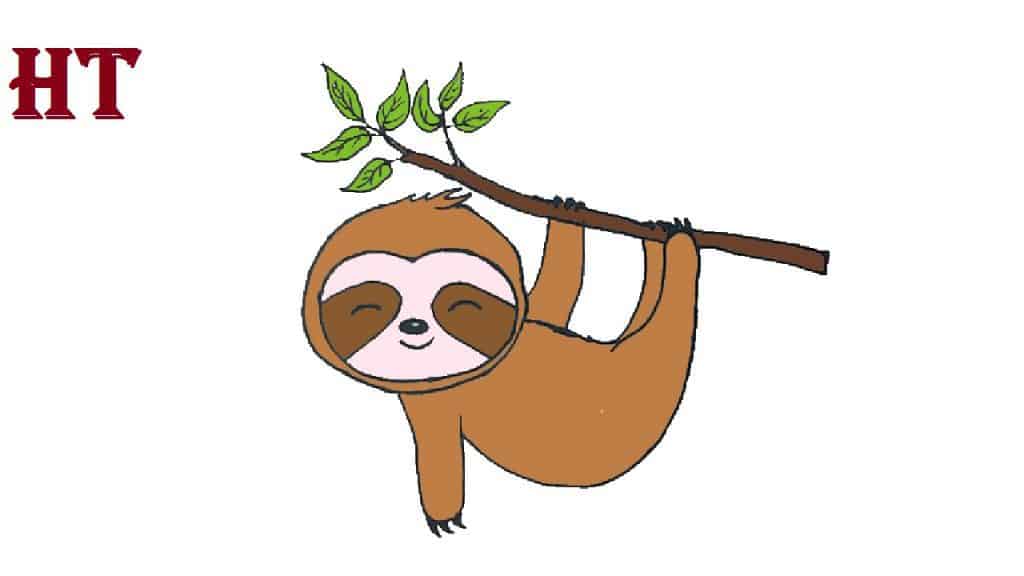 Cute Sloth Drawing