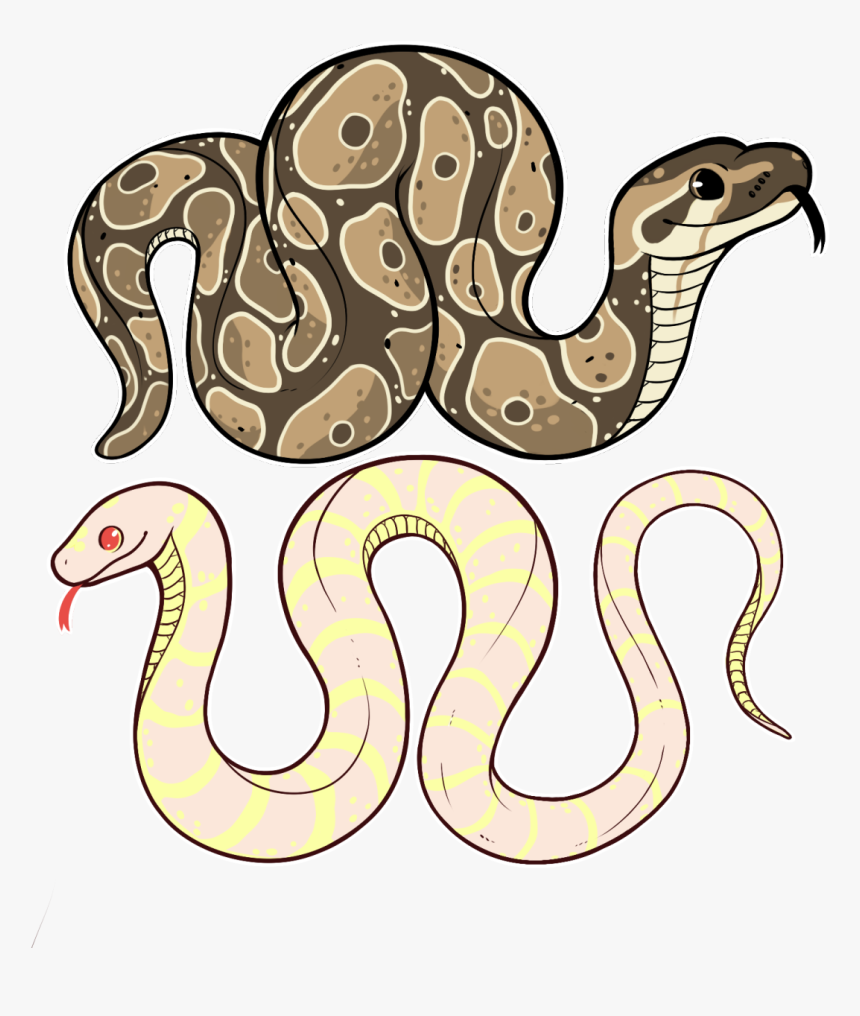 Cute Snake Drawing Amazing Sketch