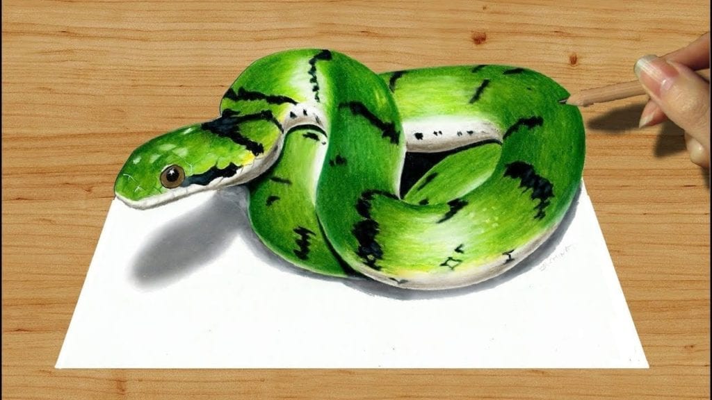 Cute Snake Drawing Detailed Sketch