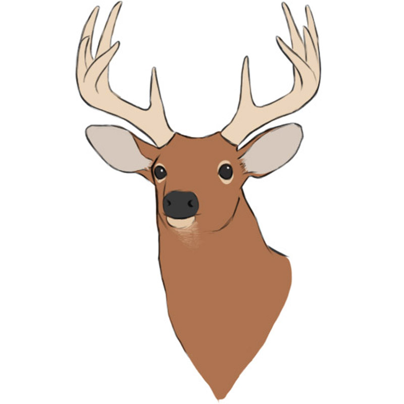 Deer Drawing Detailed Sketch