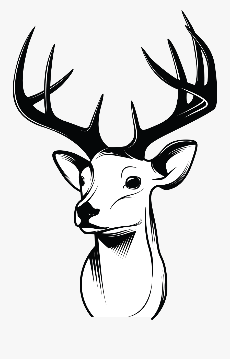 Deer Drawing Modern Sketch