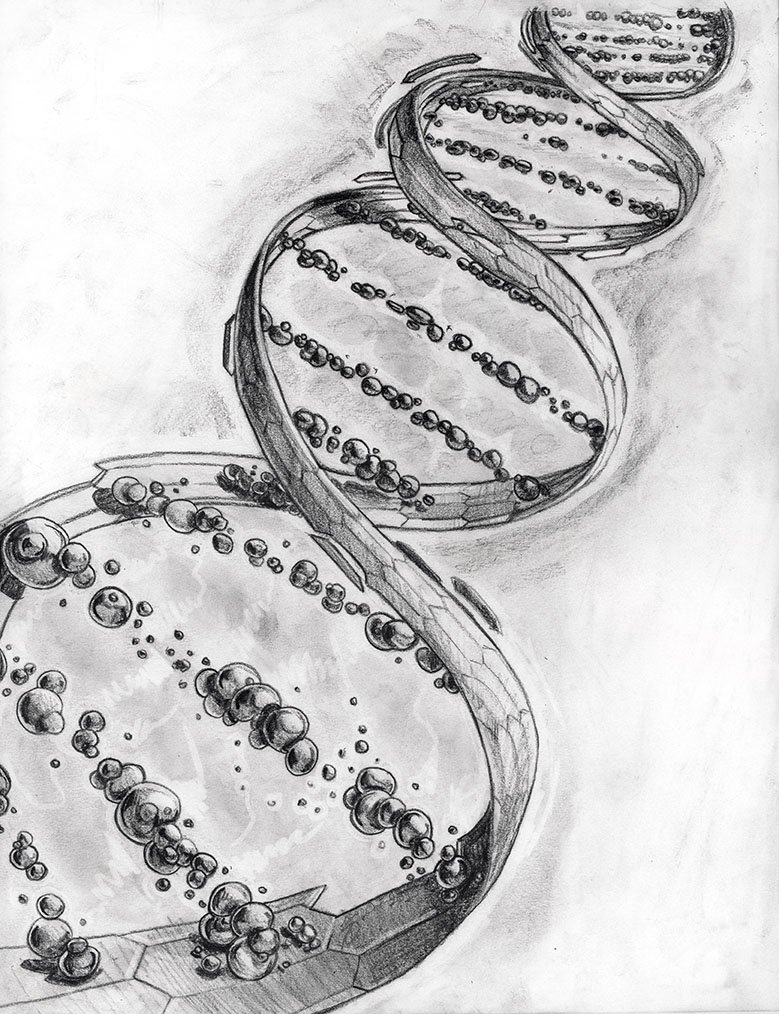 Dna Drawing Amazing Sketch