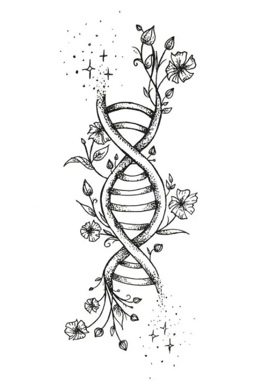 Dna Drawing Sketch
