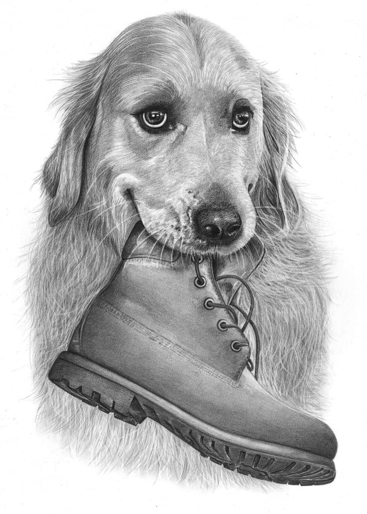 Dog Pencil Drawing Creative Style