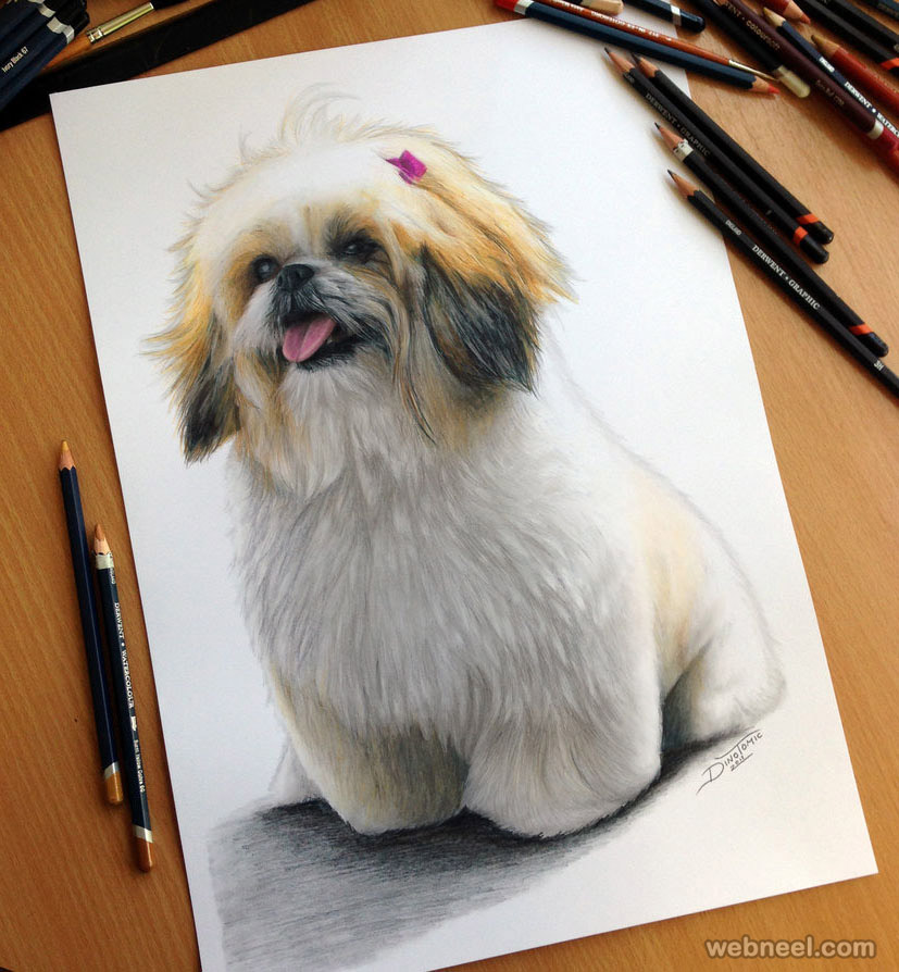 Dog Pencil Drawing Detailed Sketch