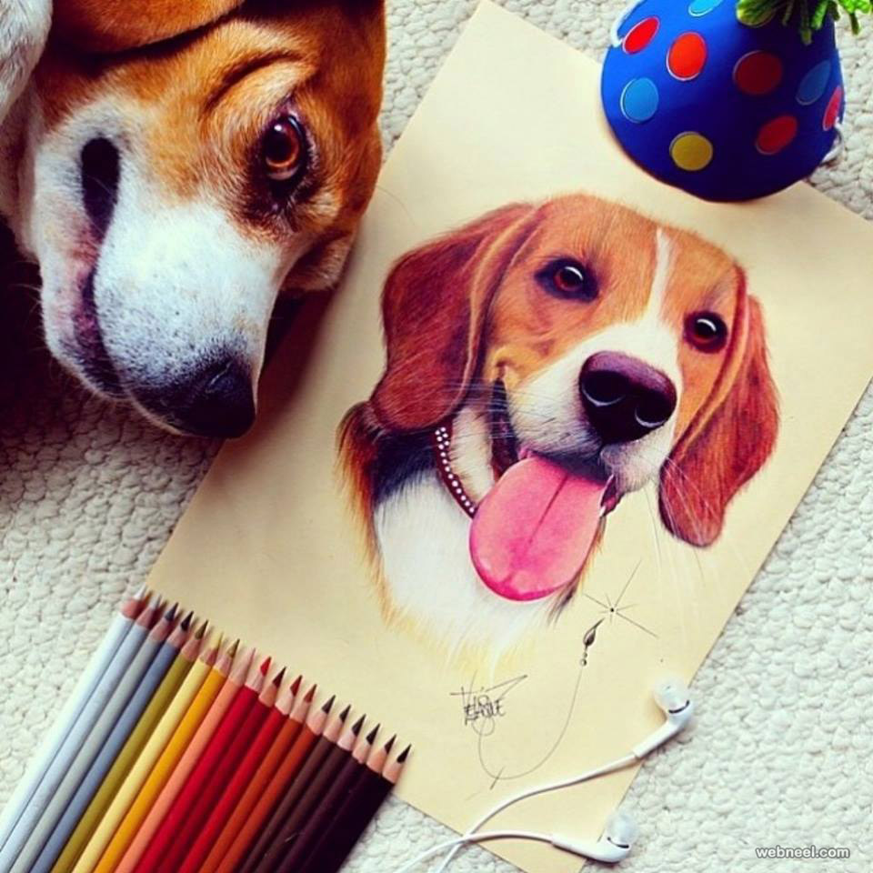Dog Pencil Drawing Intricate Artwork