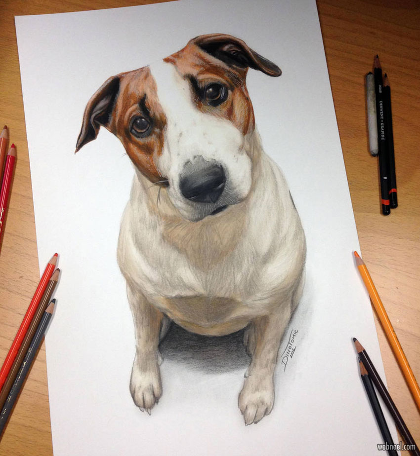 Dog Pencil Drawing Stunning Sketch