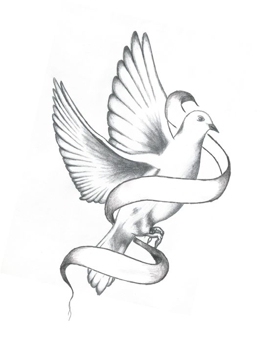 Dove Drawing Image