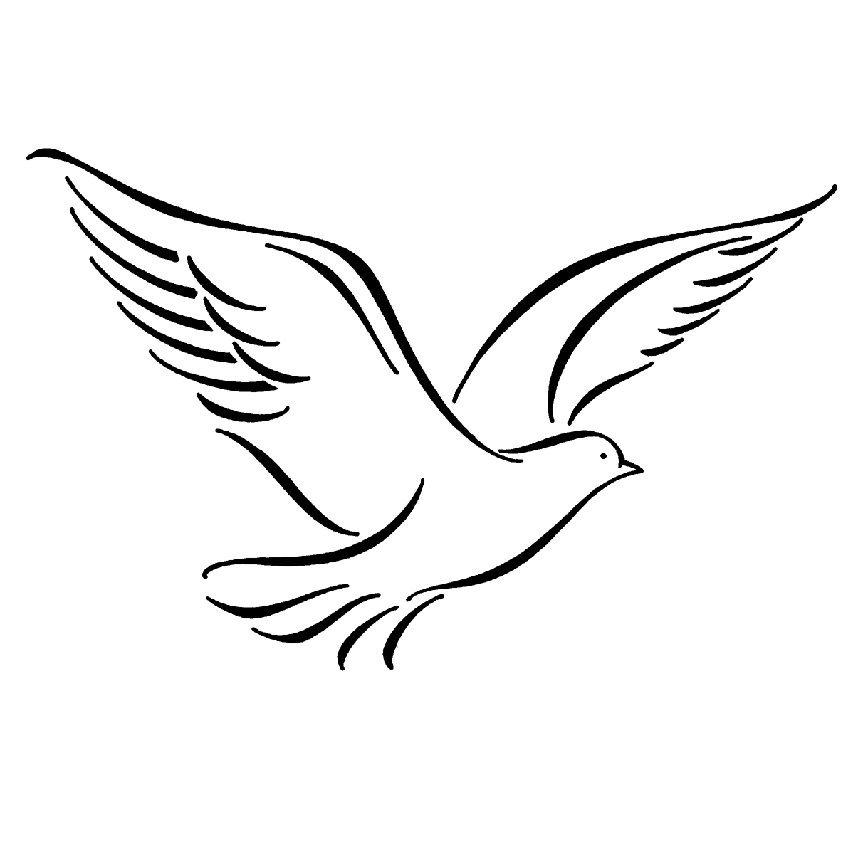 Dove Drawing Photo