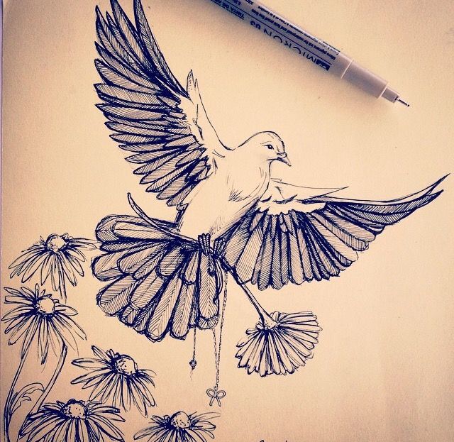 Dove Drawing Sketch