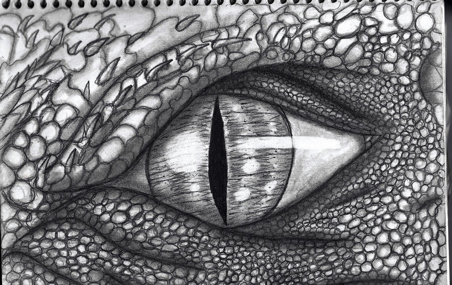 Dragon Eyes Drawing Sketch