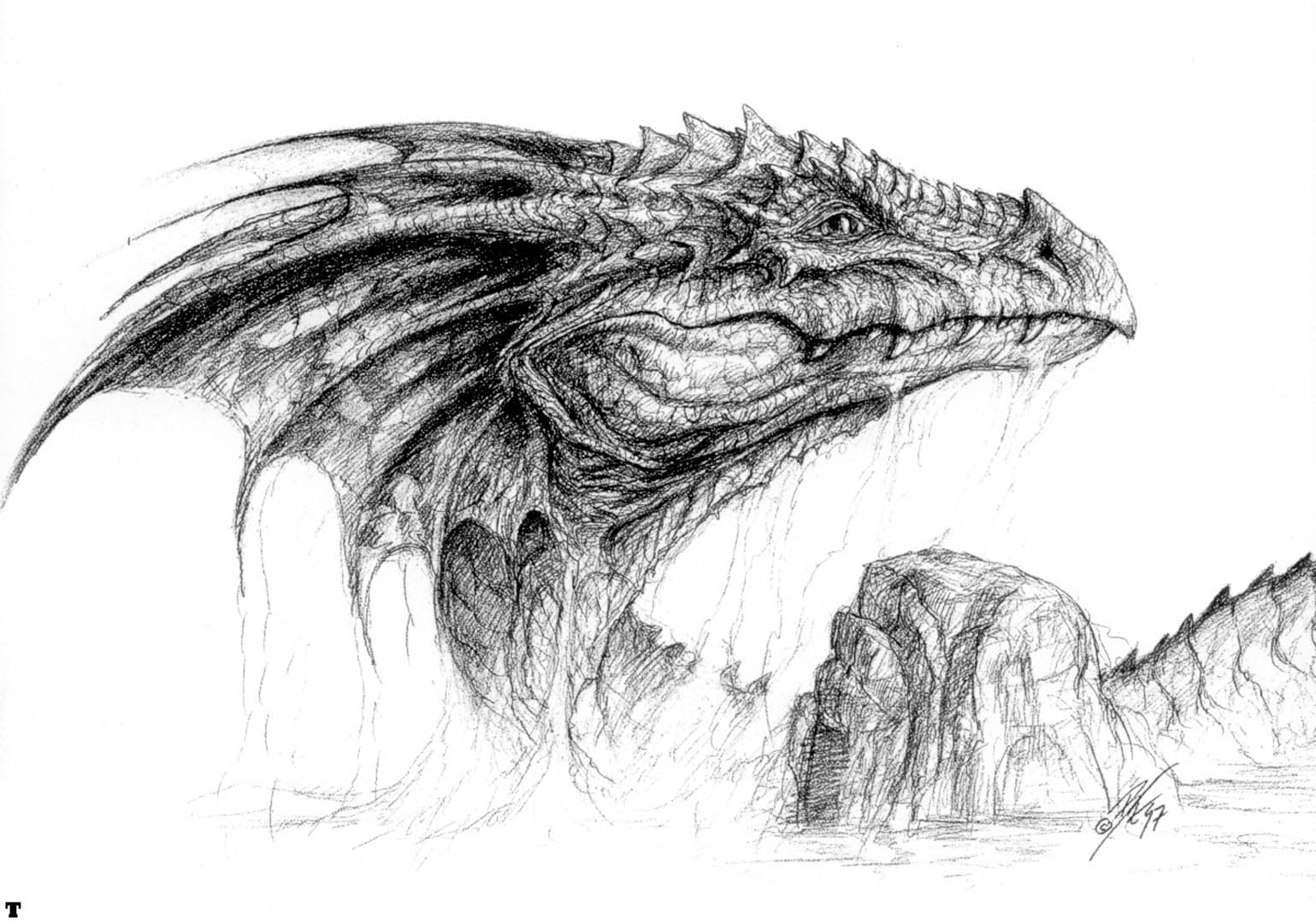 Dragon Head Drawing Art