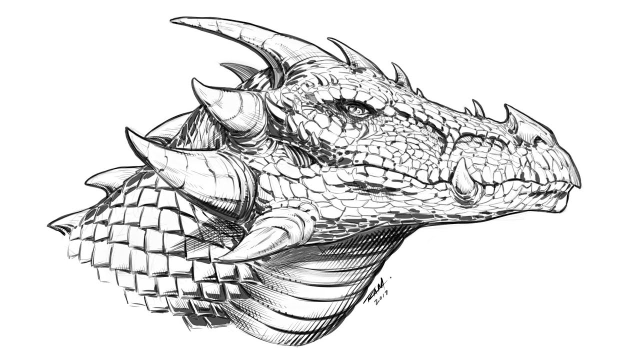 Dragon Head Drawing Creative Style