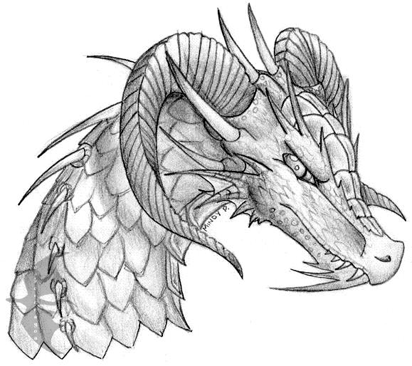 Dragon Head Drawing Detailed Sketch
