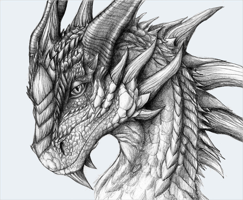 Dragon Head Drawing Fine Art