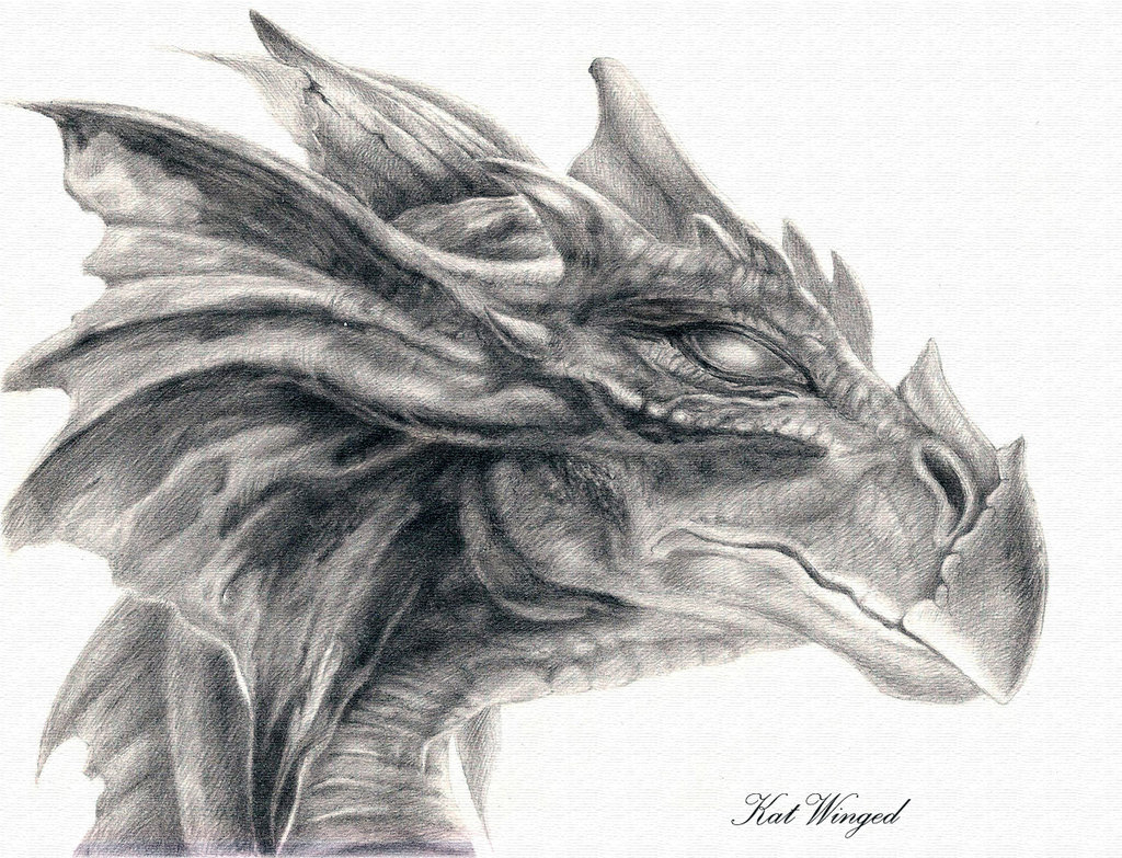 Dragon Head Drawing Hand Drawn Sketch