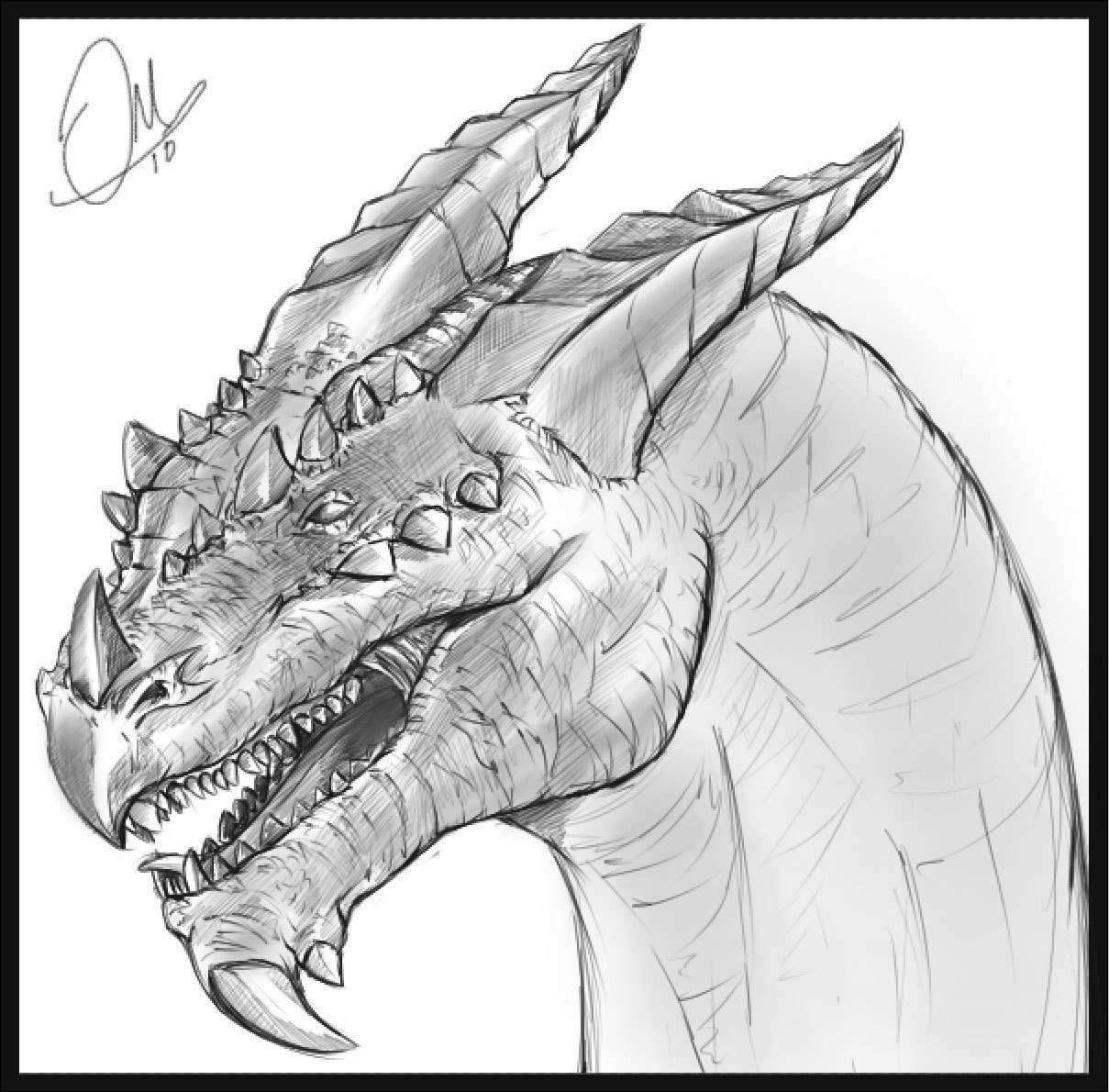 Dragon Head Drawing Hand Drawn