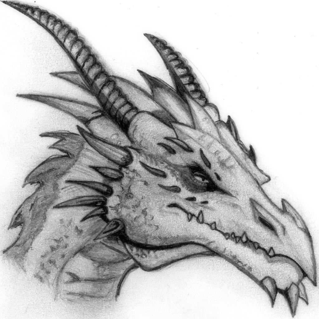 Dragon Head Drawing Photo