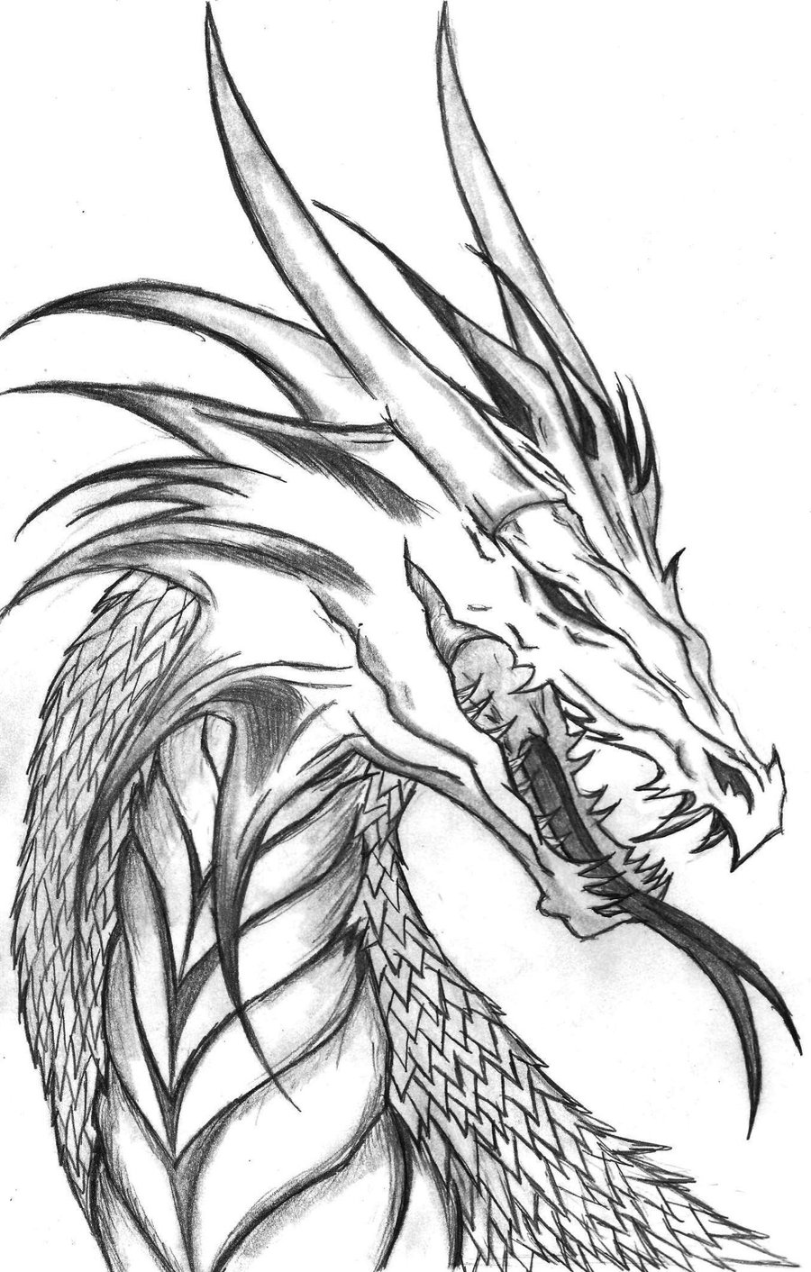 Dragon Head Drawing Picture