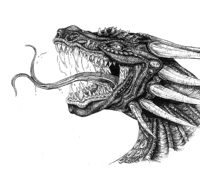 Dragon Head Drawing Realistic Sketch