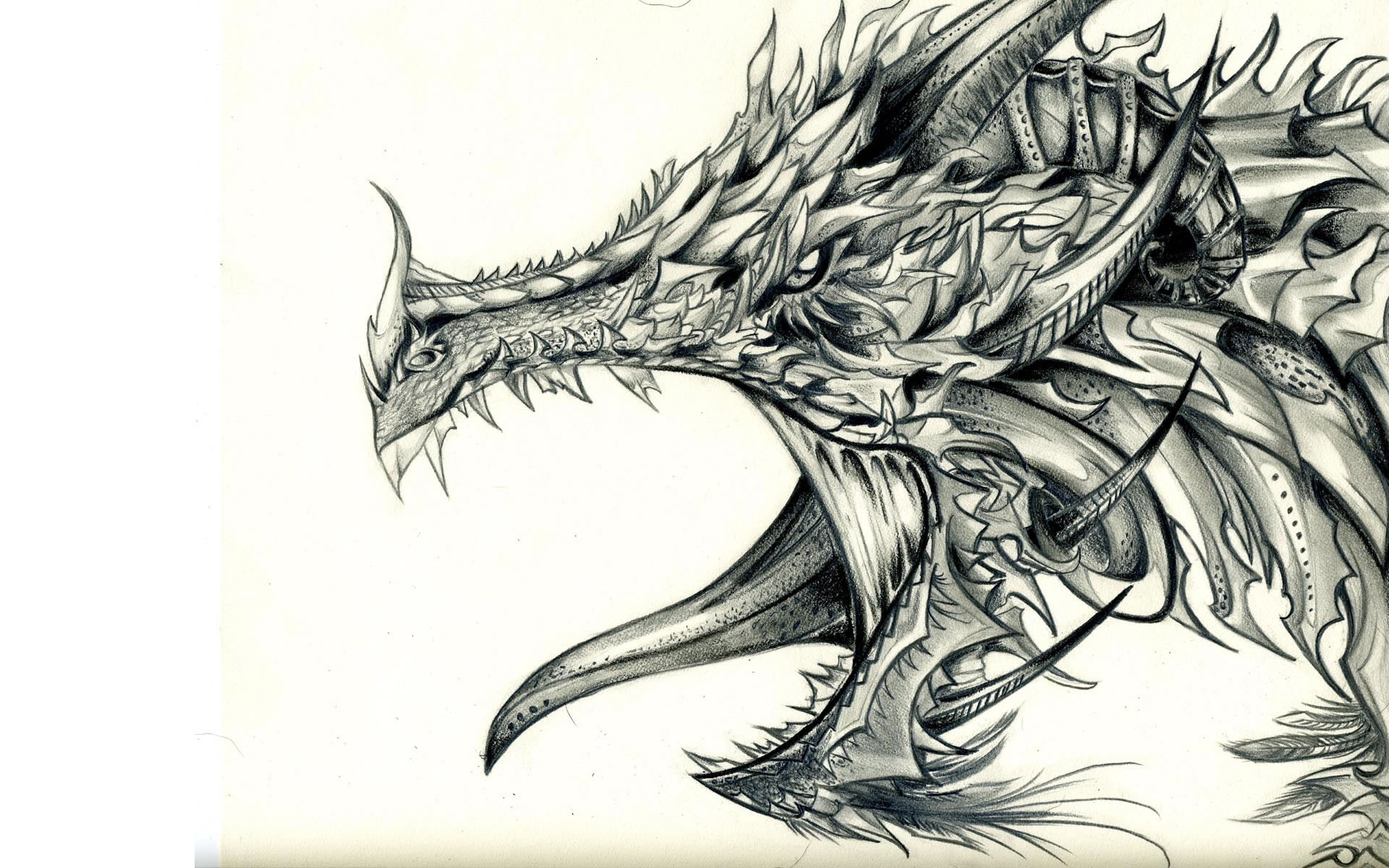 Dragon Head Drawing Stunning Sketch