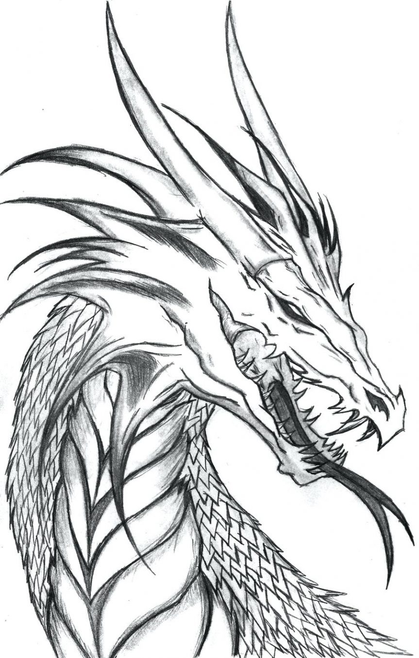 Dragon Head Drawing Unique Art