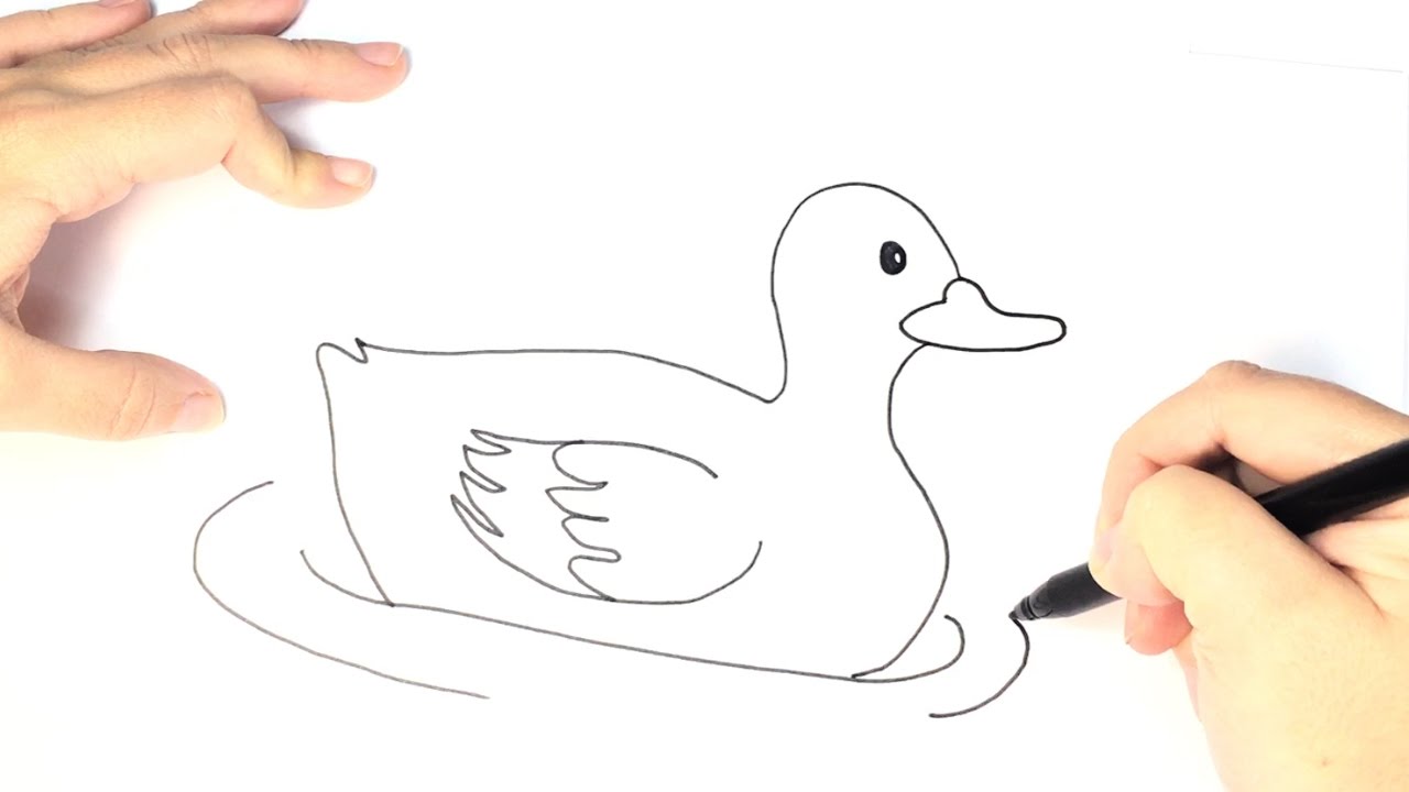 Duck Drawing Image