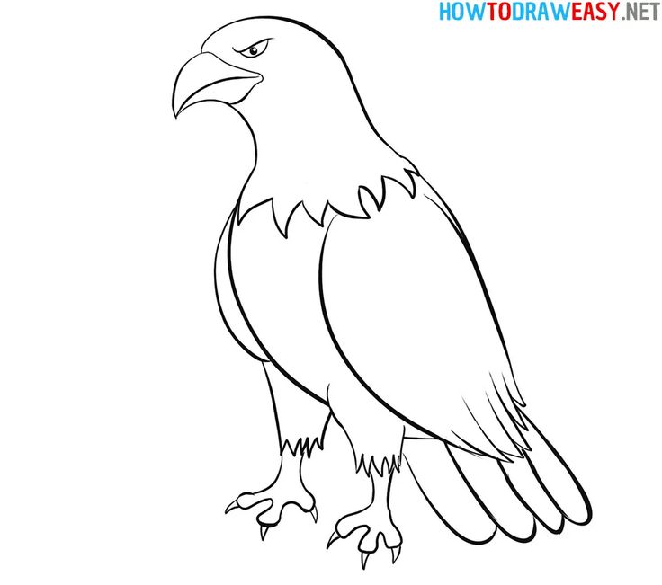 Eagle Drawing Art